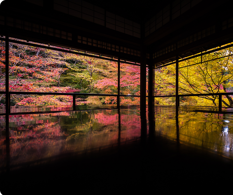 紅葉に囲まれた伝統建築
